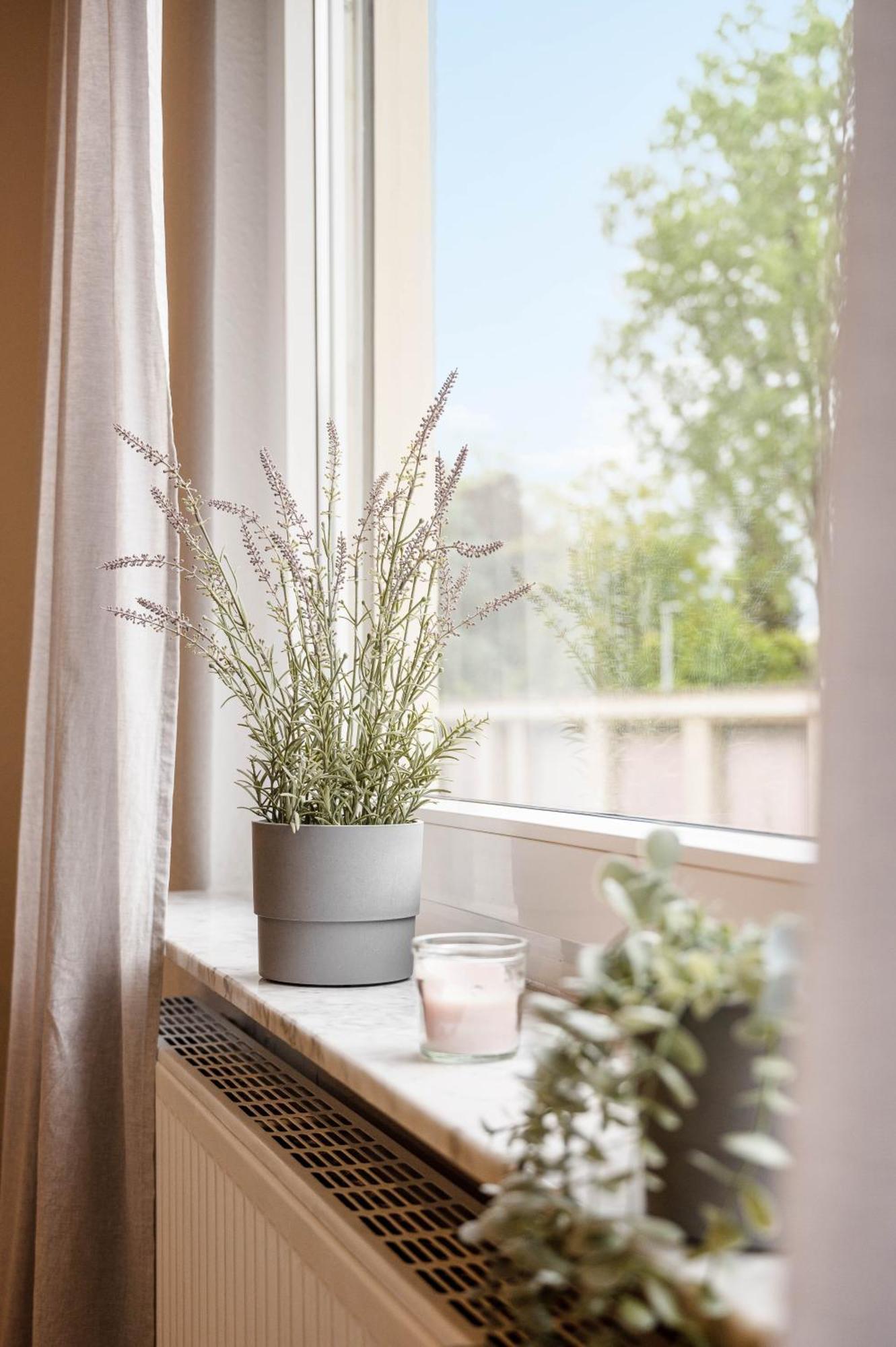 Casa Aguila - Ruhige, Zentrale 4 Zimmerwohnung In Viernheim Ngoại thất bức ảnh